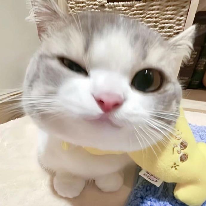 阿菜同学
