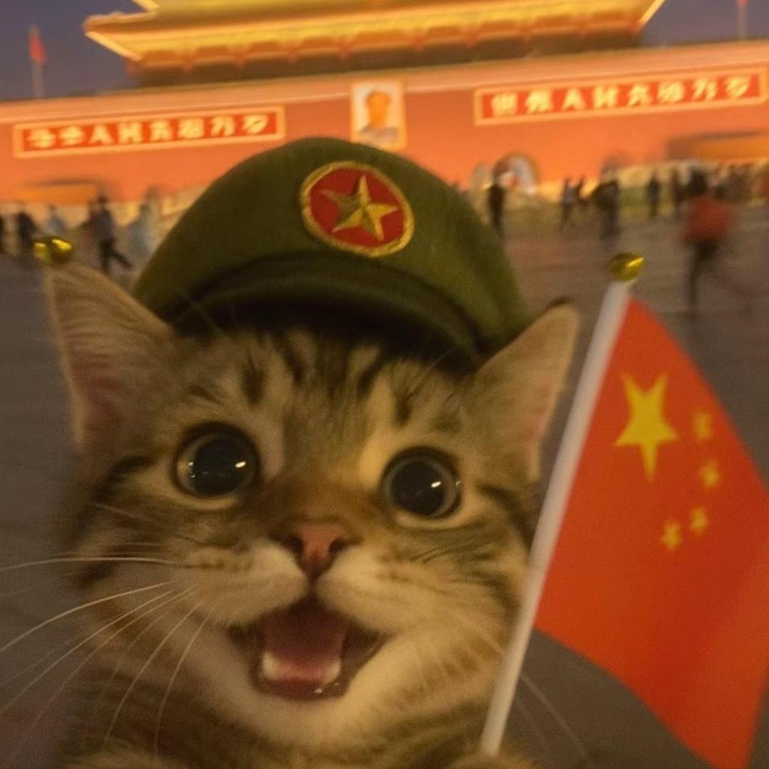 岭南的猫