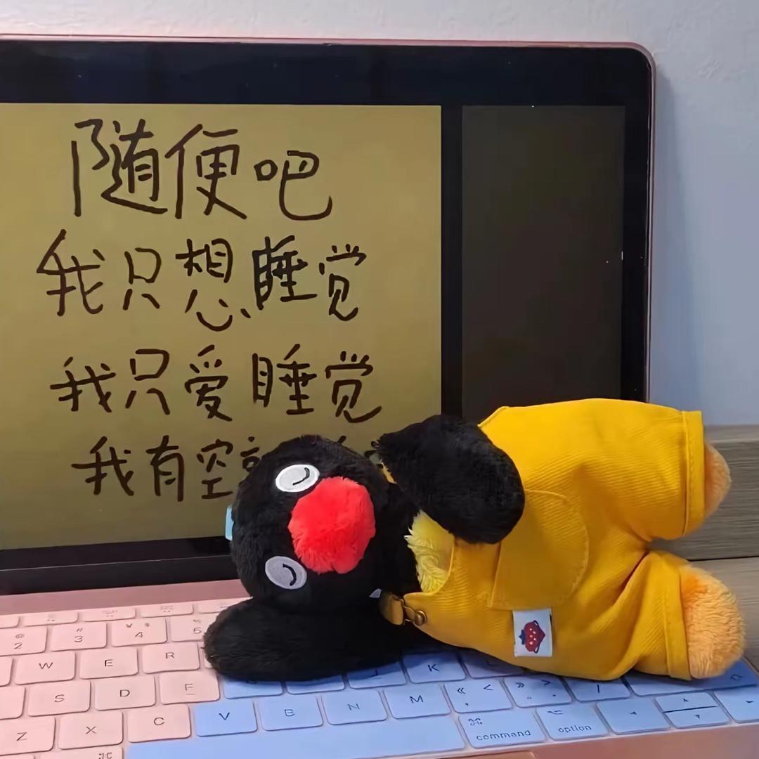 伤心小椰子🥥^