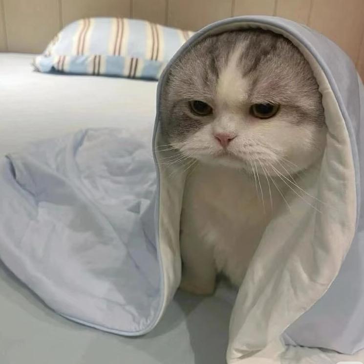 语茉