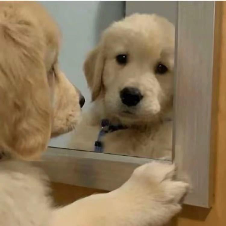 10086