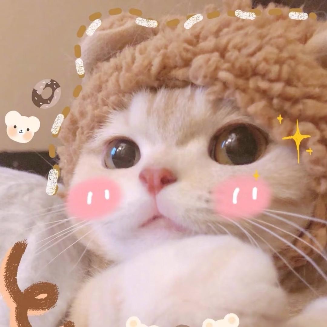 粥一没柿.🤗（济南）