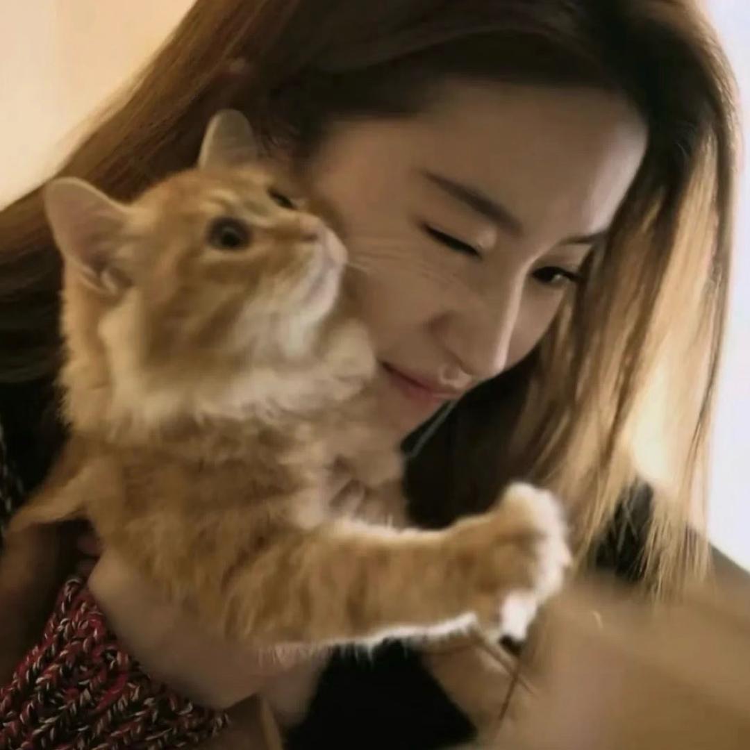 ㅤㅤ月亮ㅤㅤ