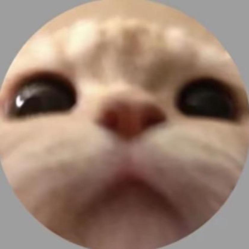 YyZz.
