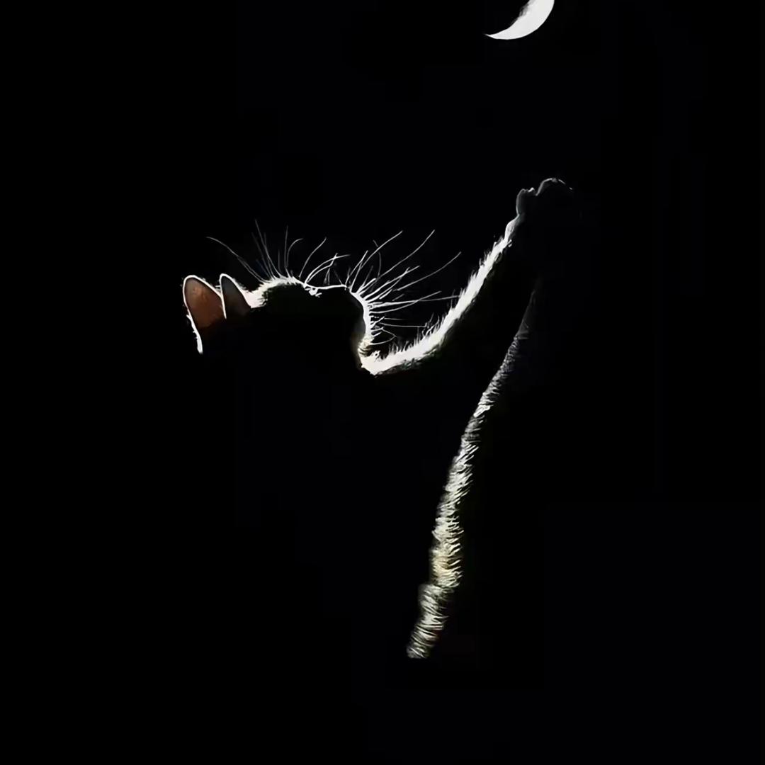 👨🏻‍🦯‍➡️🧎🏼‍♀️