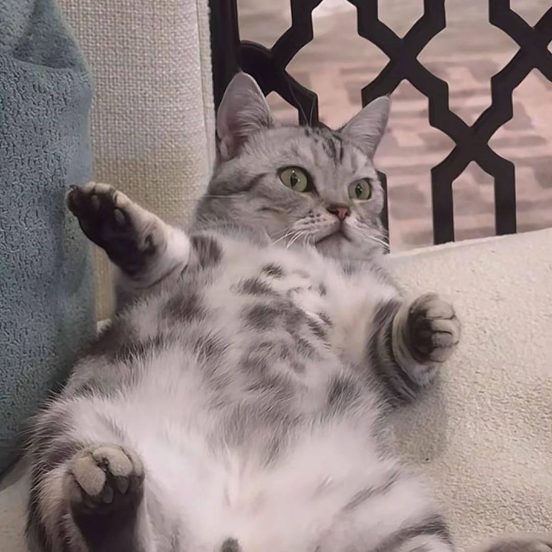 Yuc.