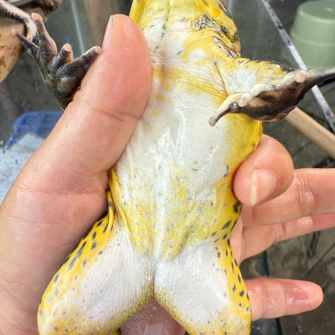 静心生鲜