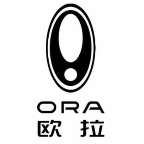 长城汽车欧拉（青海青旺）
