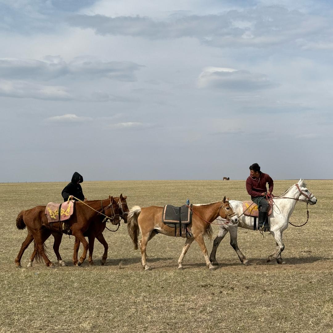 呼伦贝尔苏米亚🍇