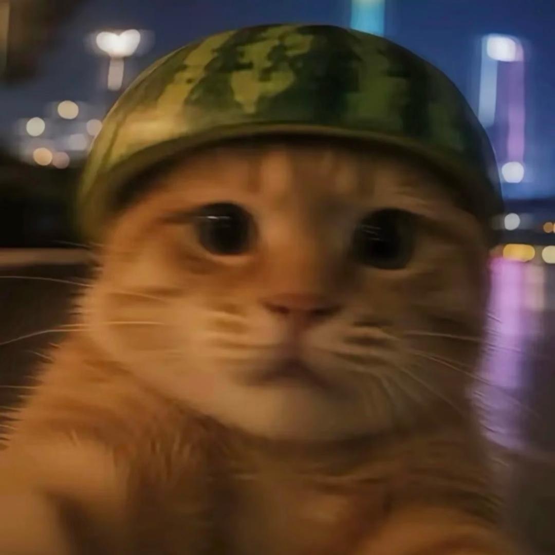 CSOL瓜皮皮
