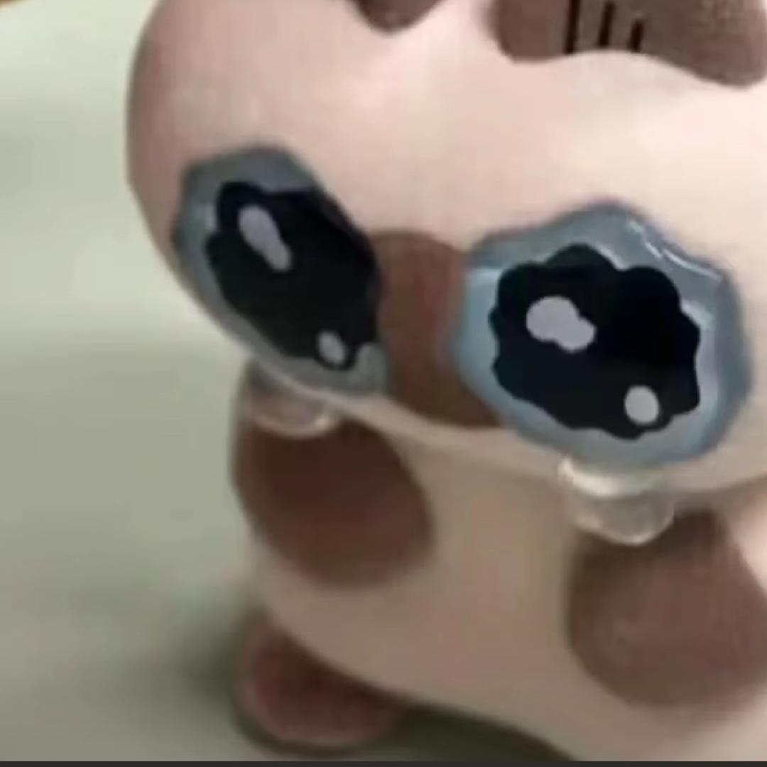 hazel_zeroinon