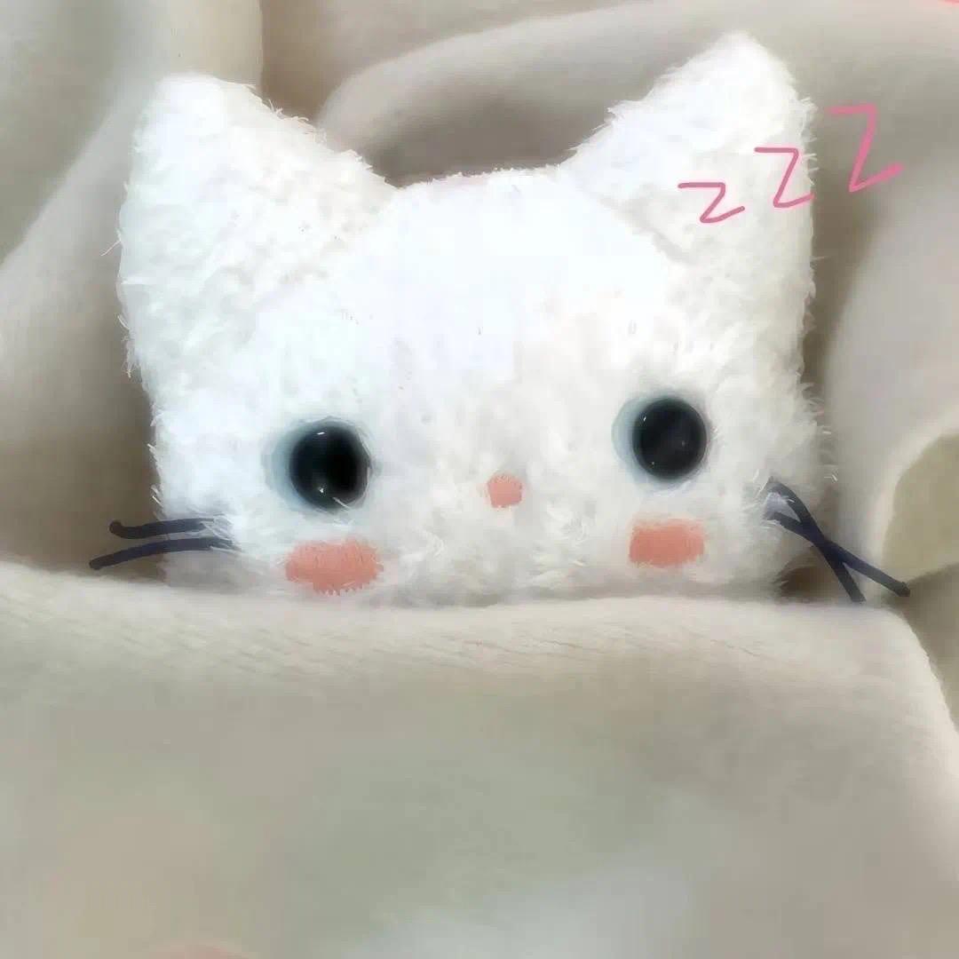 飞飞鱼。