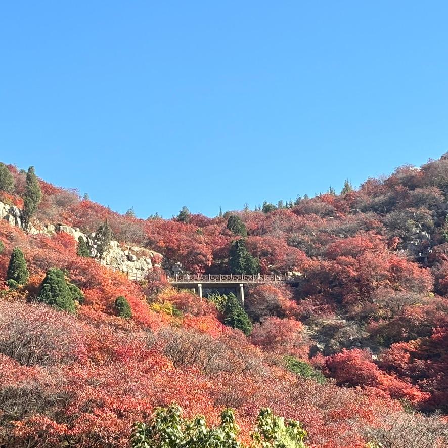 🦋এ᭄我姓ꦿ张💔别嚣张ོ࿐ᩚ