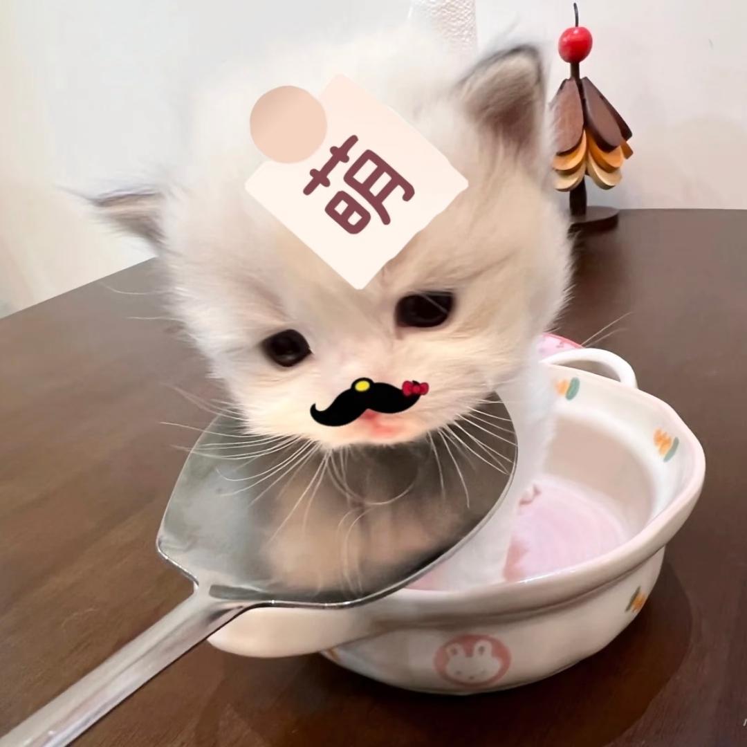 张纸涵