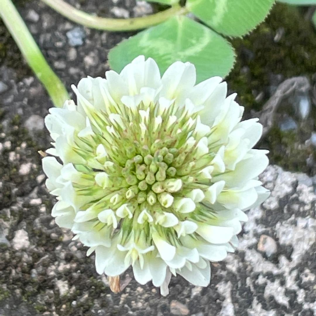 襄汾县百信通人力资源管理有限公司