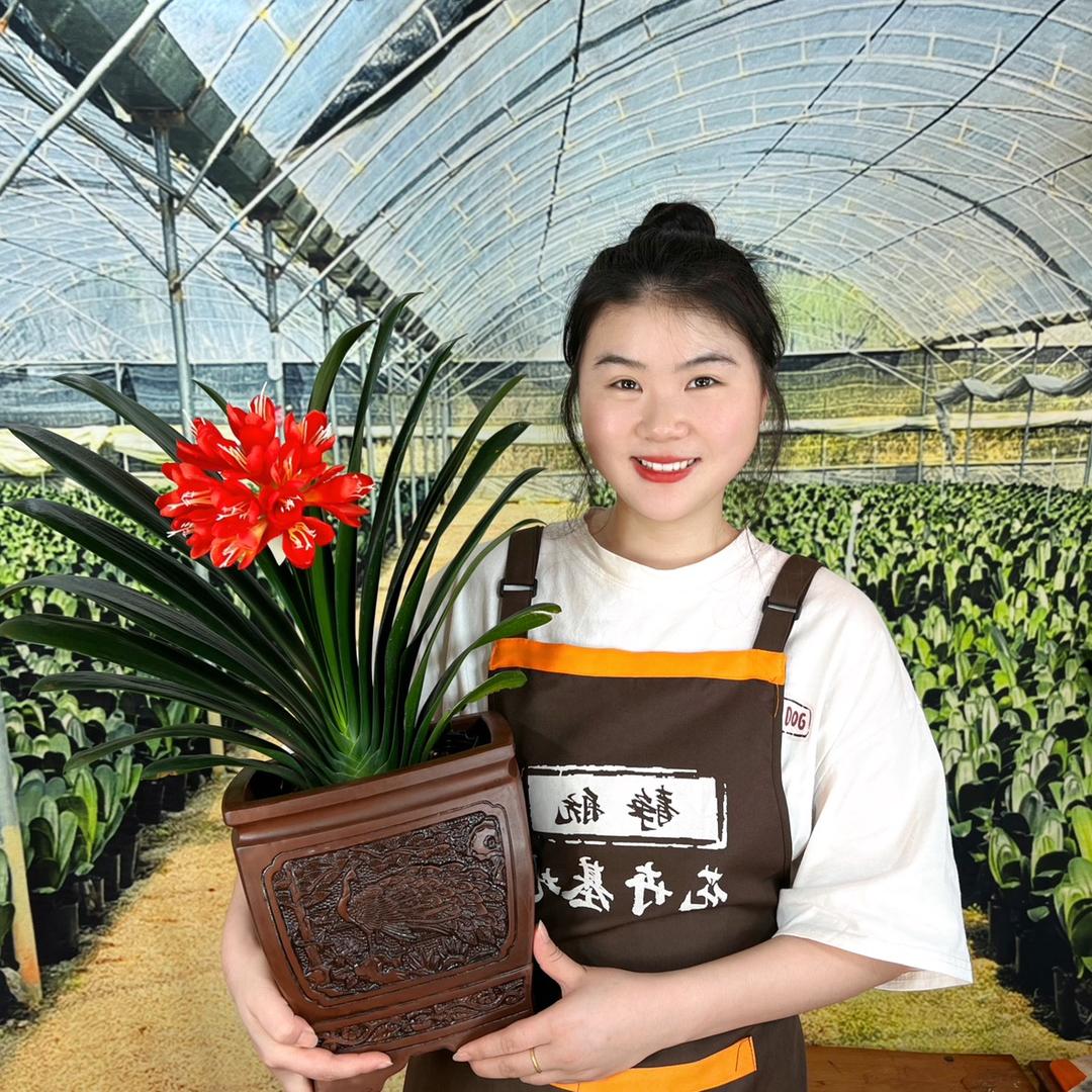 静语嫣静航花卉专卖店
