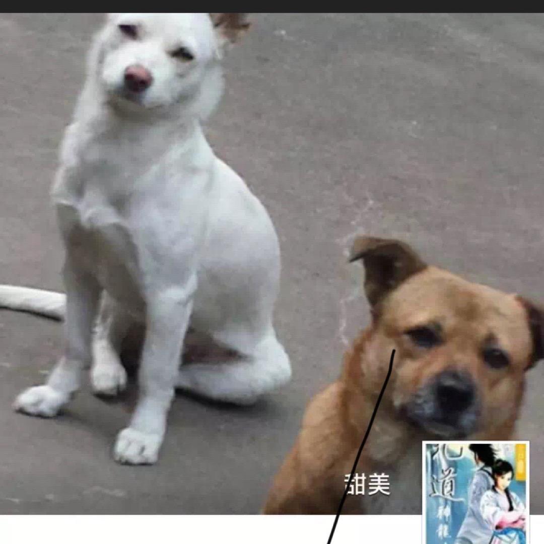 甜美甜