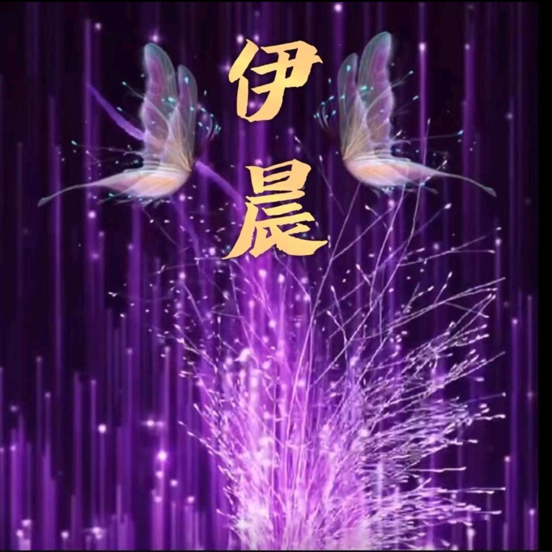 伊晨（收徒）