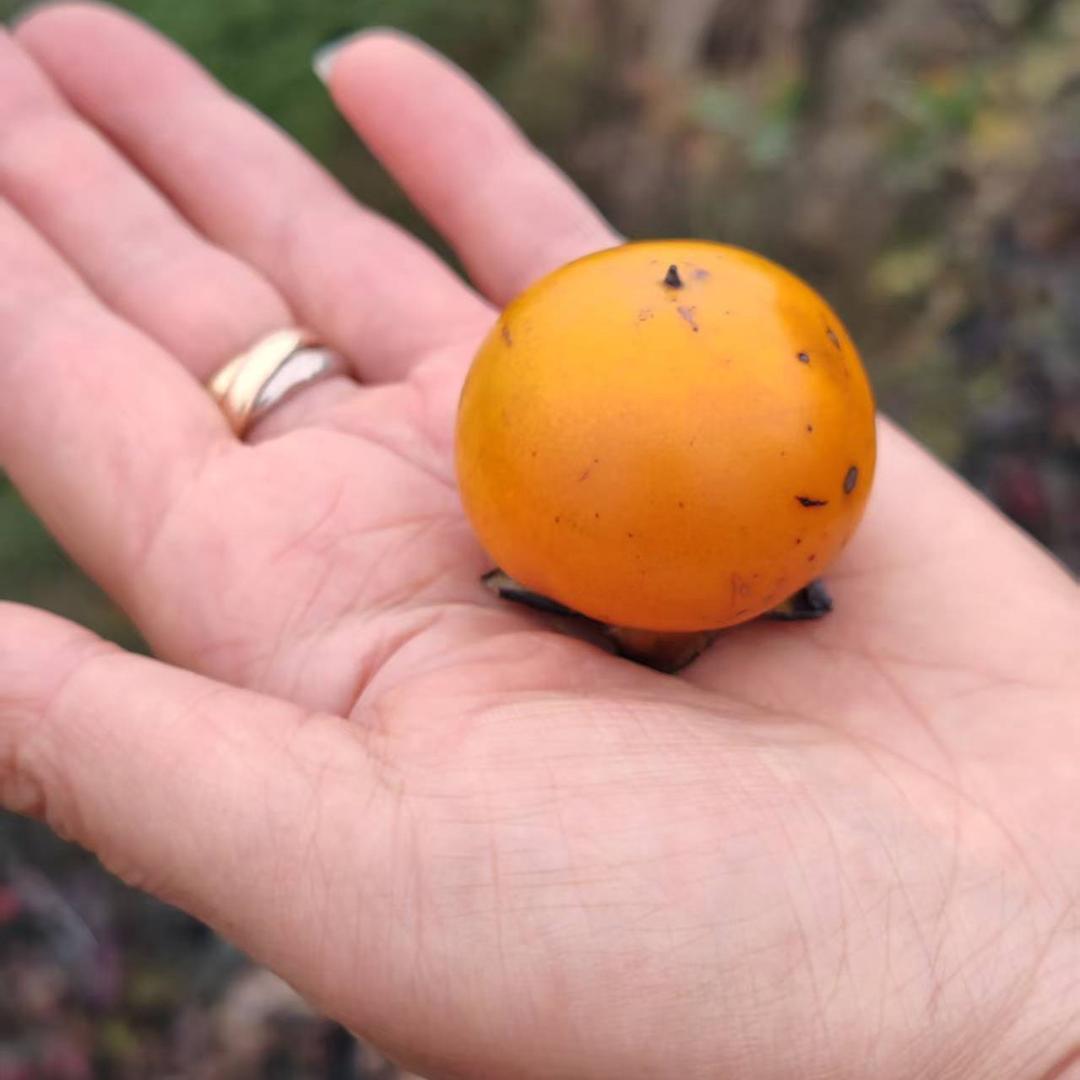 向日葵🌻🏃‍♀️