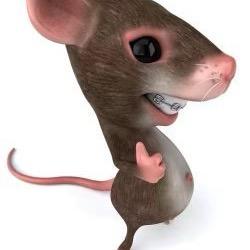哆来咪