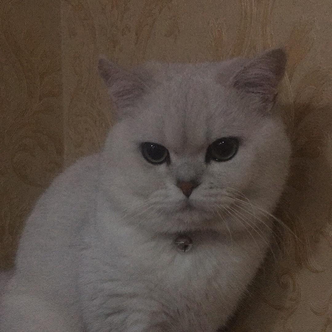 黑暗破晓黎明