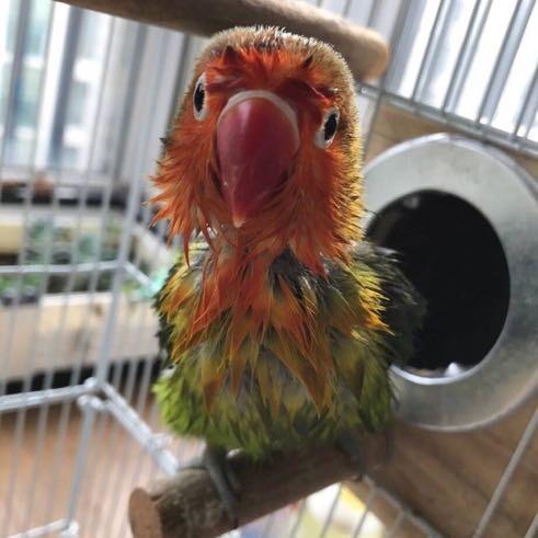 🌈❤️❤️呆呆❤️🌈