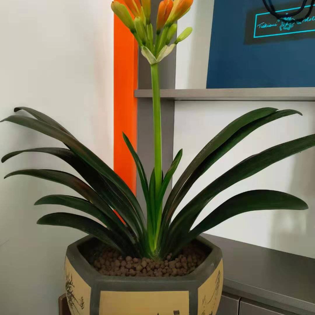 😌 品味人生；