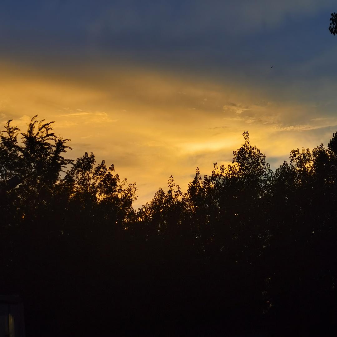 d(ŐдŐ๑)૮ ˙Ⱉ˙ ა