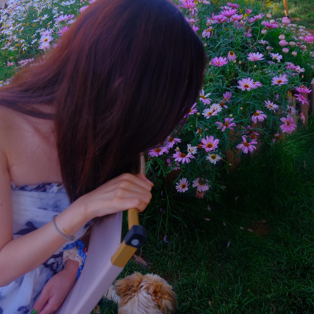 菜菜子