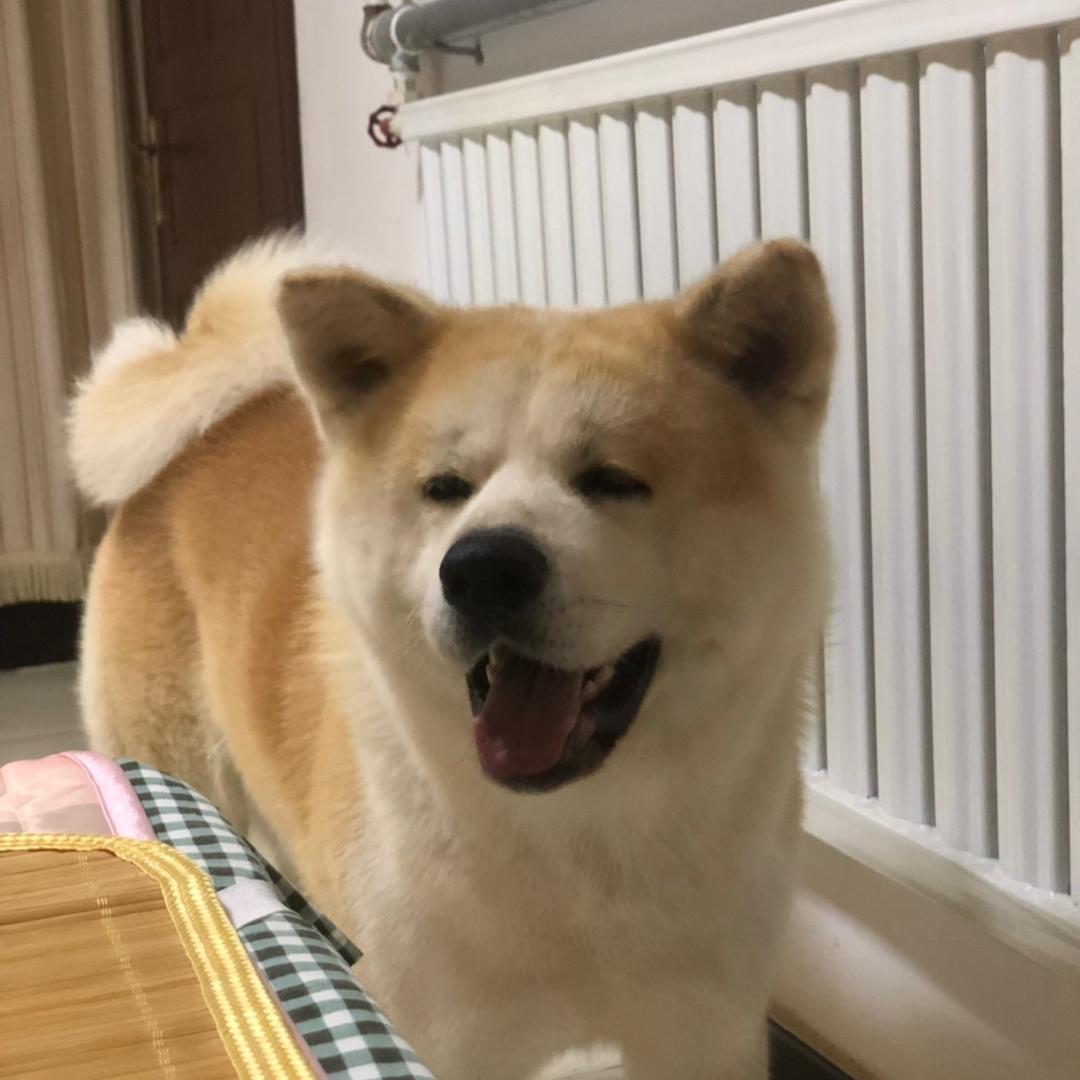 安公馆的幸福生活