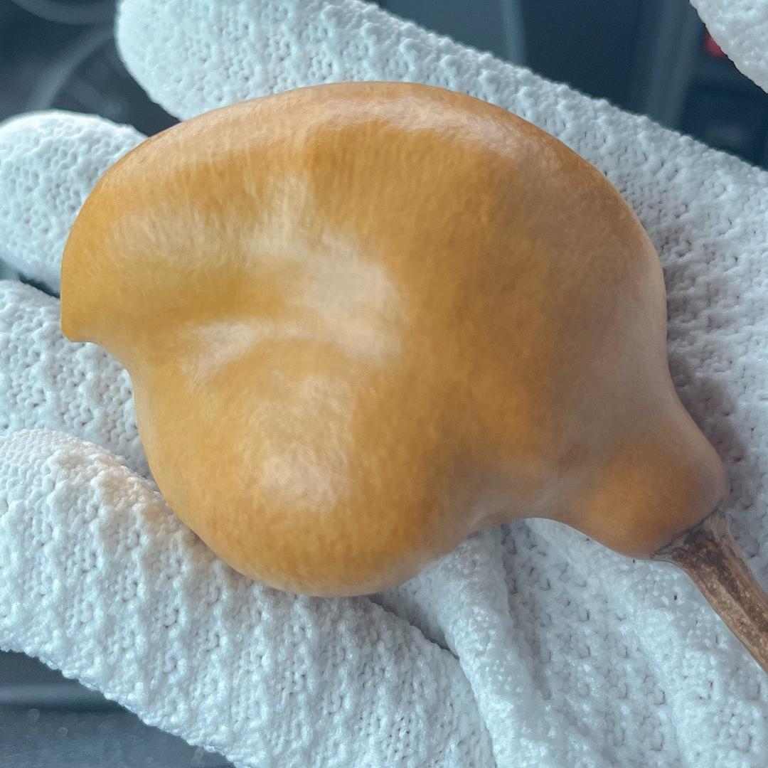 钳哥葫芦