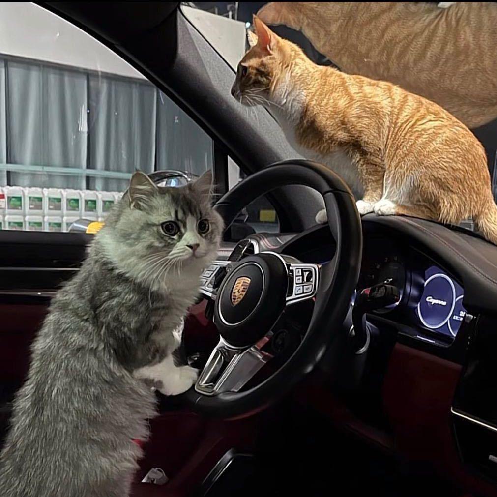 ㅤㅤㅤㅤㅤㅤㅤㅤ