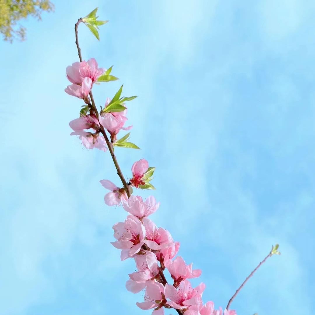 汐汐子
