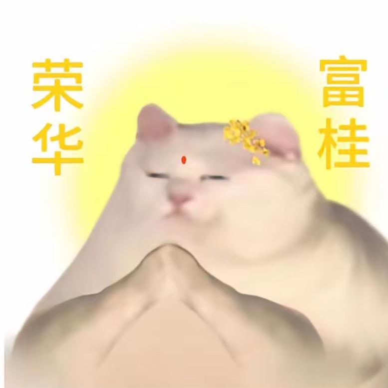 喜儿🌸