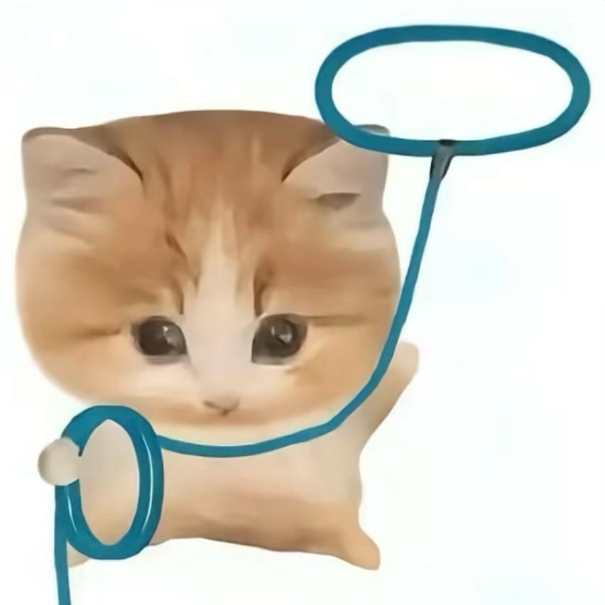 BB小饼