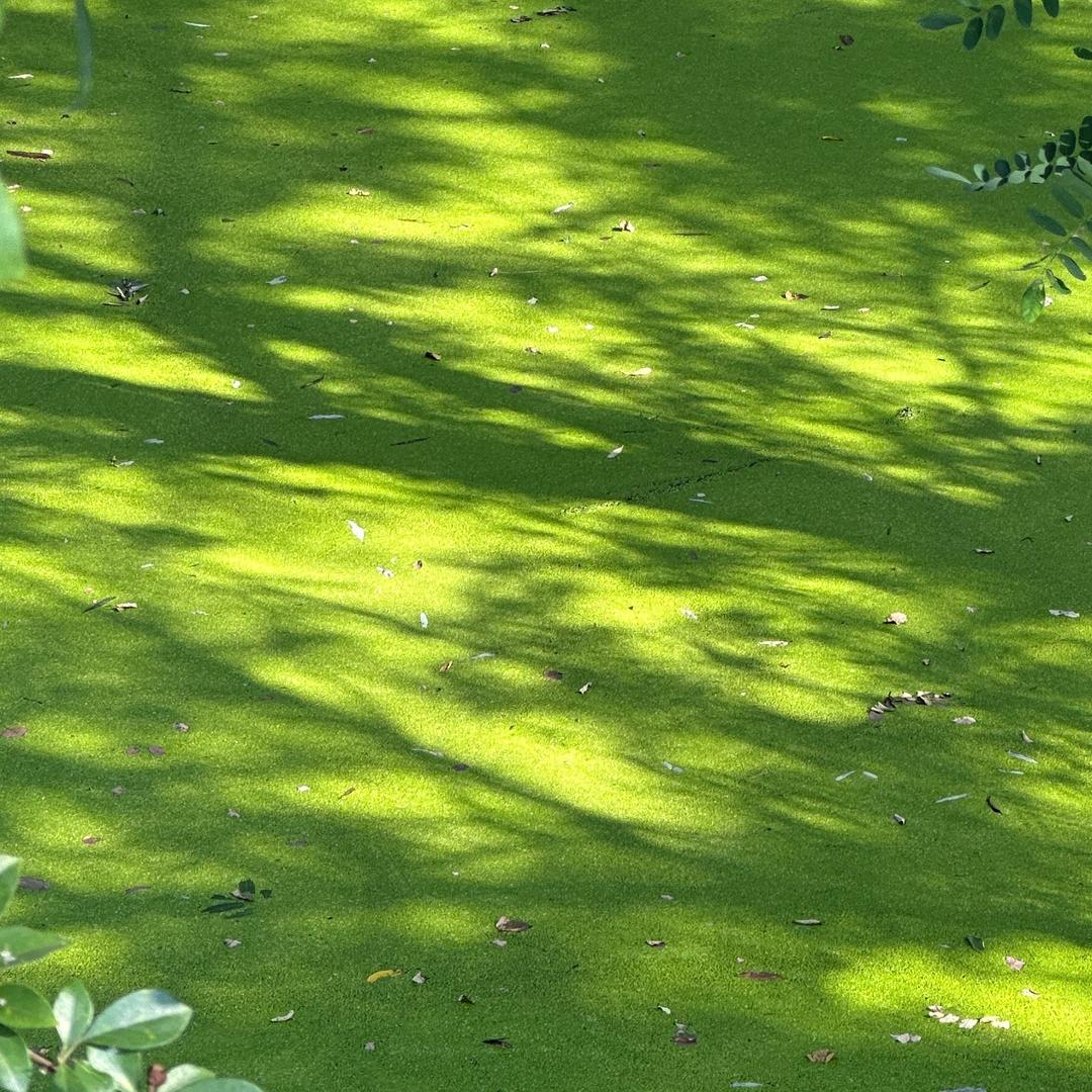 路啦啦