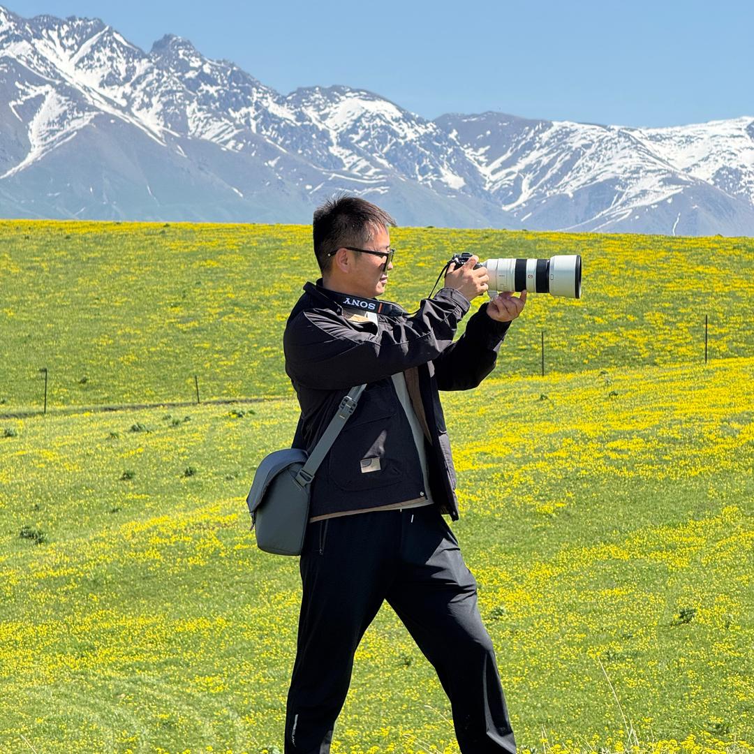 冯队《旅行》