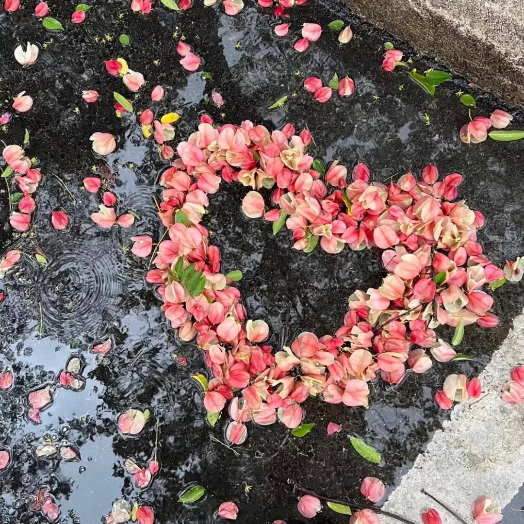 彼此