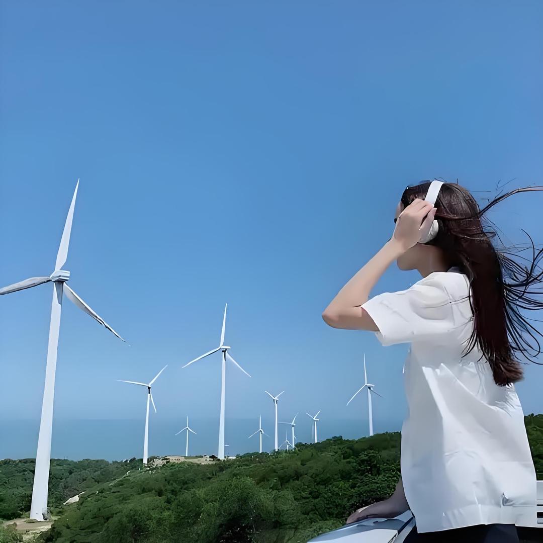小鱼海棠