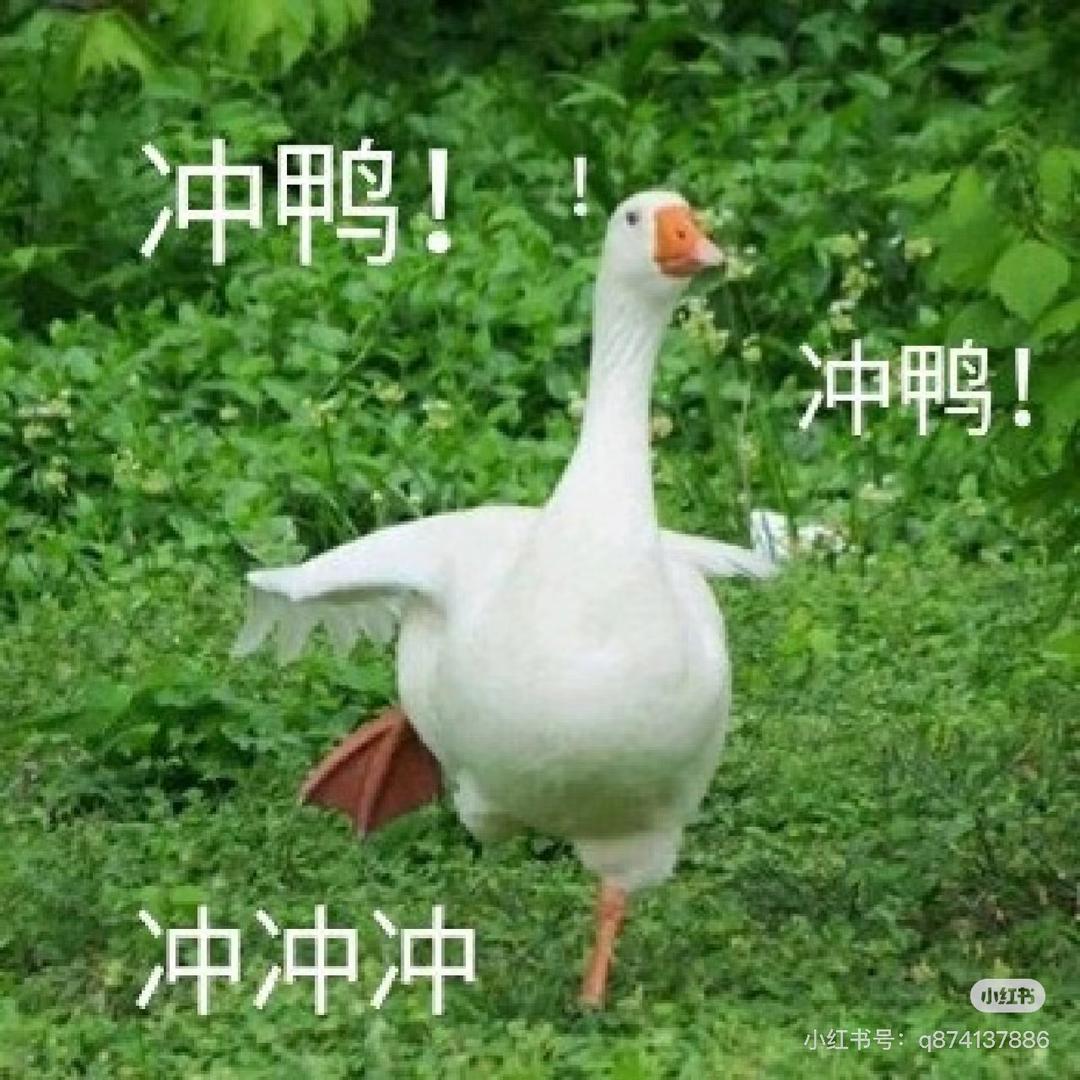 四喜丸子🧚‍♀️🌷