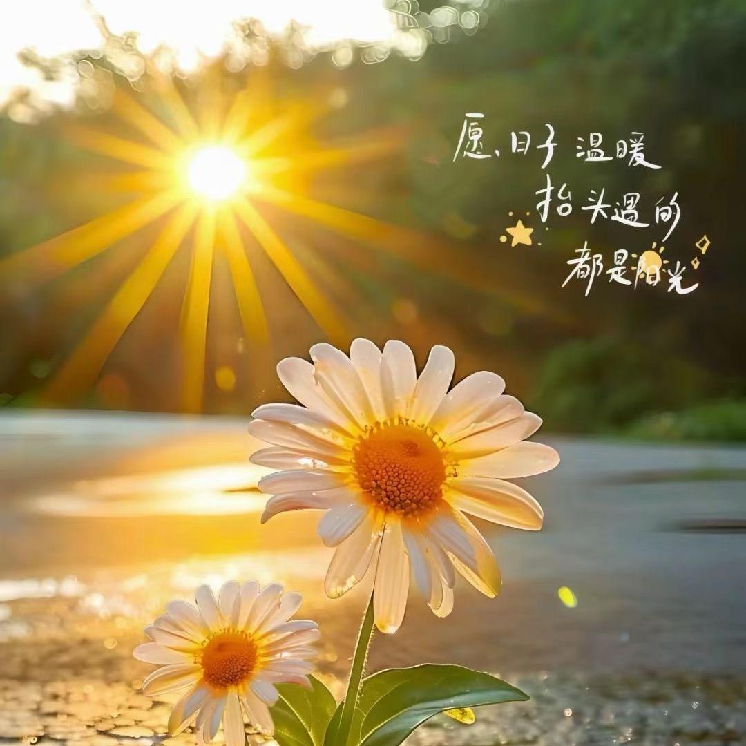 靖涵