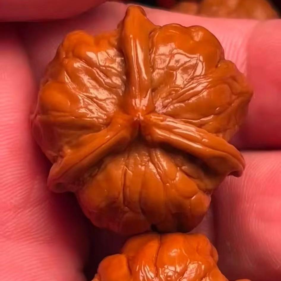 天津大妞在涞水