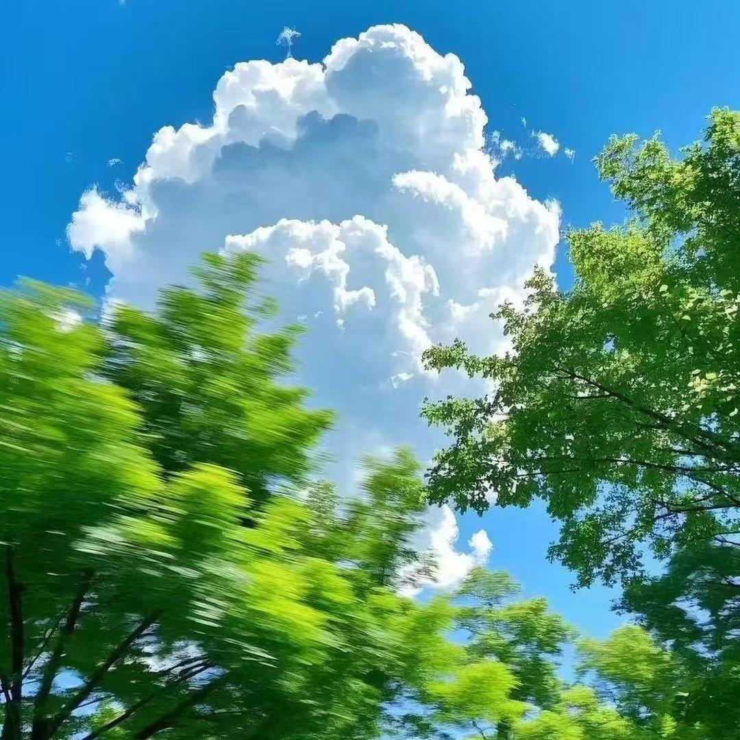 赵赵数码（2）（M)