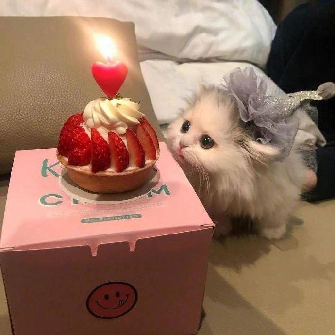 桥洞修鞋王师傅