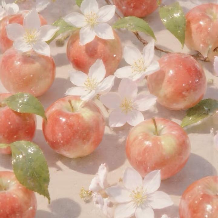 Yaya苹果瑜