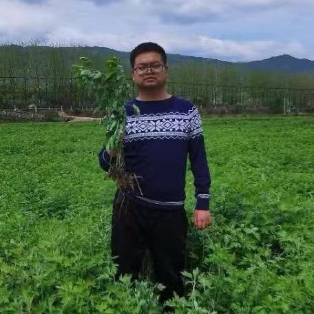 专业艾灸师王老师（新1）