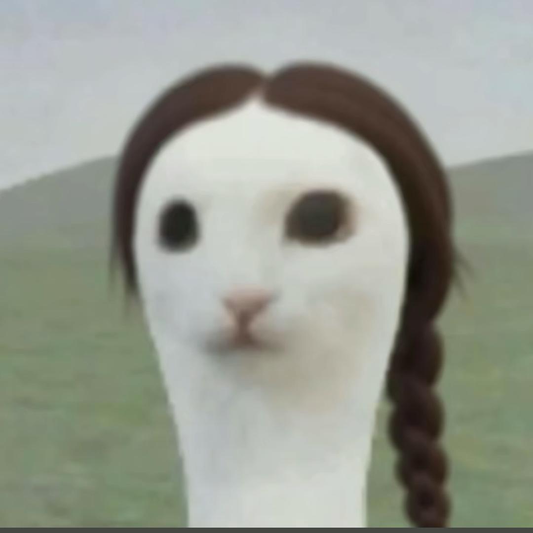 海猫^