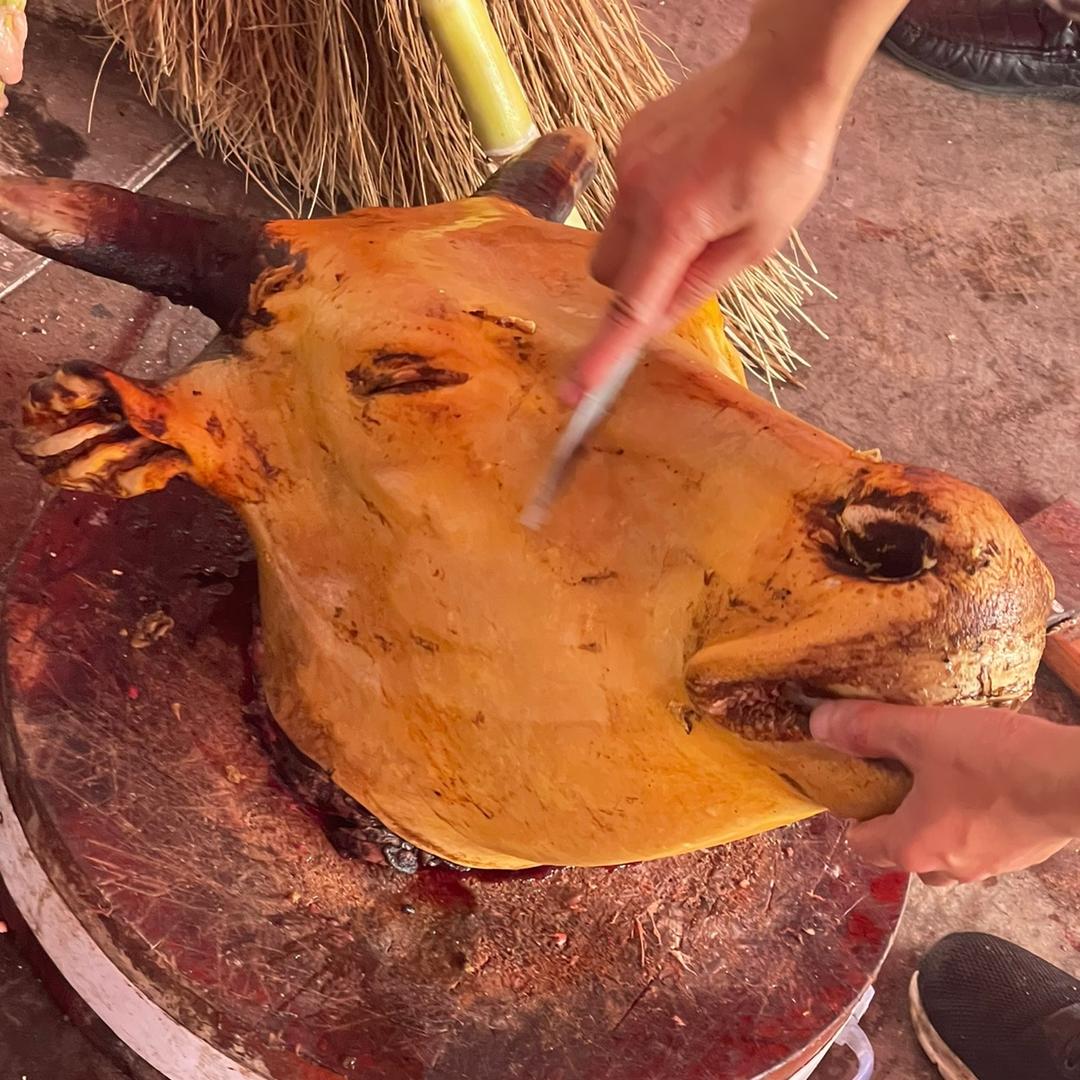 小龙贵州原生态土黄牛店个体店小龙黄牛肉