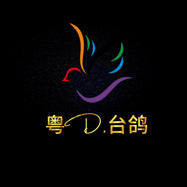 汕头粤D台鸽