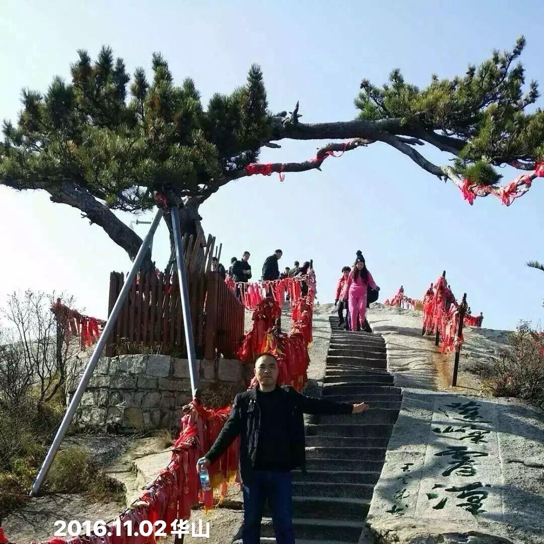 淡然（jia）